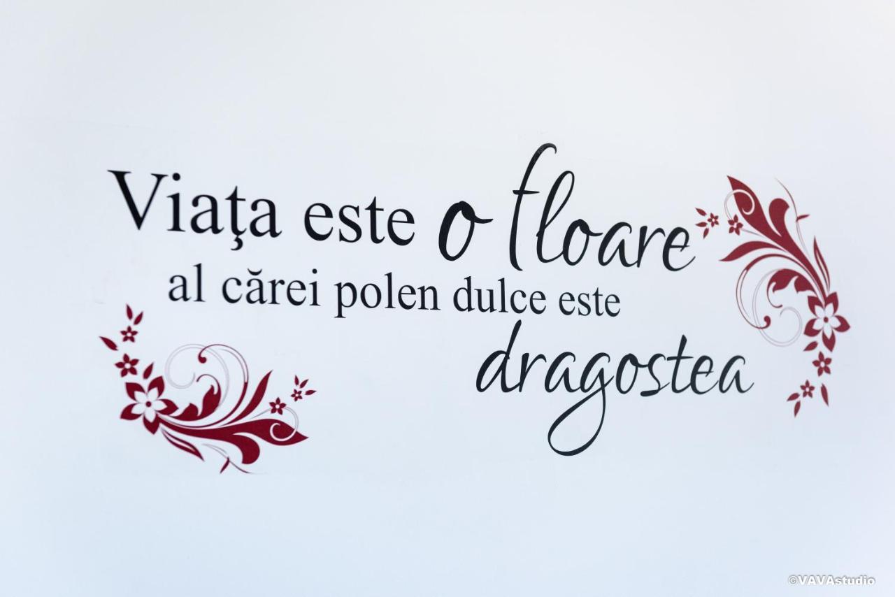 Apartament Carpe Diem Braşov Esterno foto